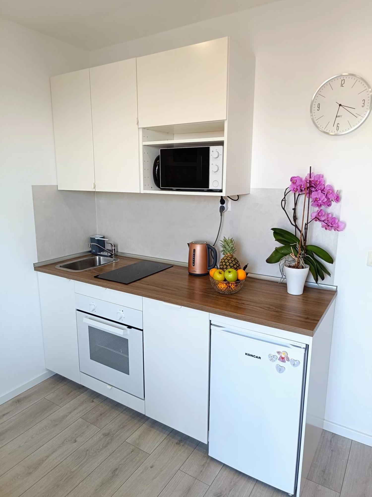 Apartment Marina Cavtat